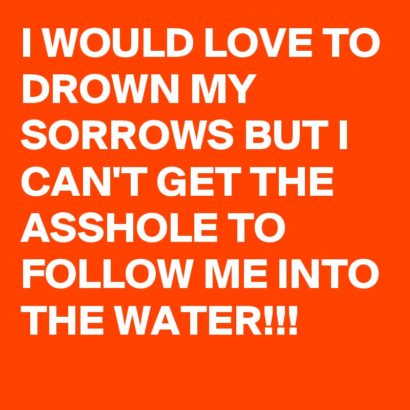 I WOULD LOVE TO DROWN MY SORROWS BUT I CAN'T GET THE ASSHOLE TO FOLLOW ME INTO THE WATER!!!