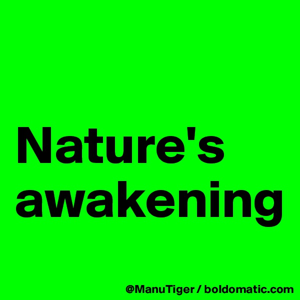 

Nature's awakening