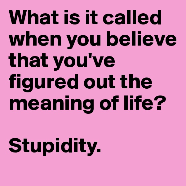 What is it called when you believe  that you've figured out the meaning of life?

Stupidity.