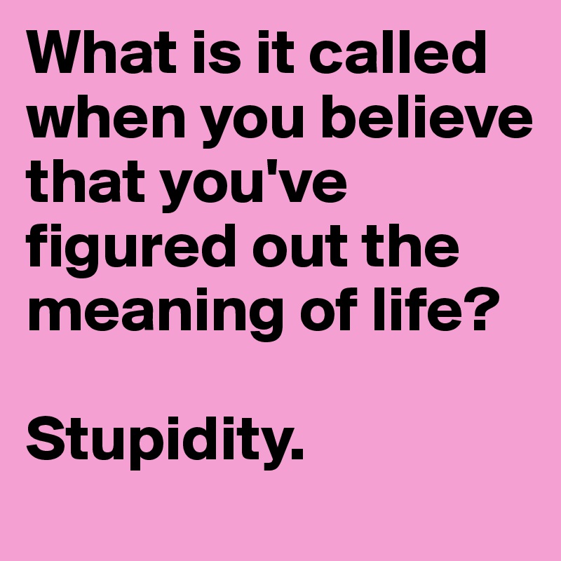 What is it called when you believe  that you've figured out the meaning of life?

Stupidity.