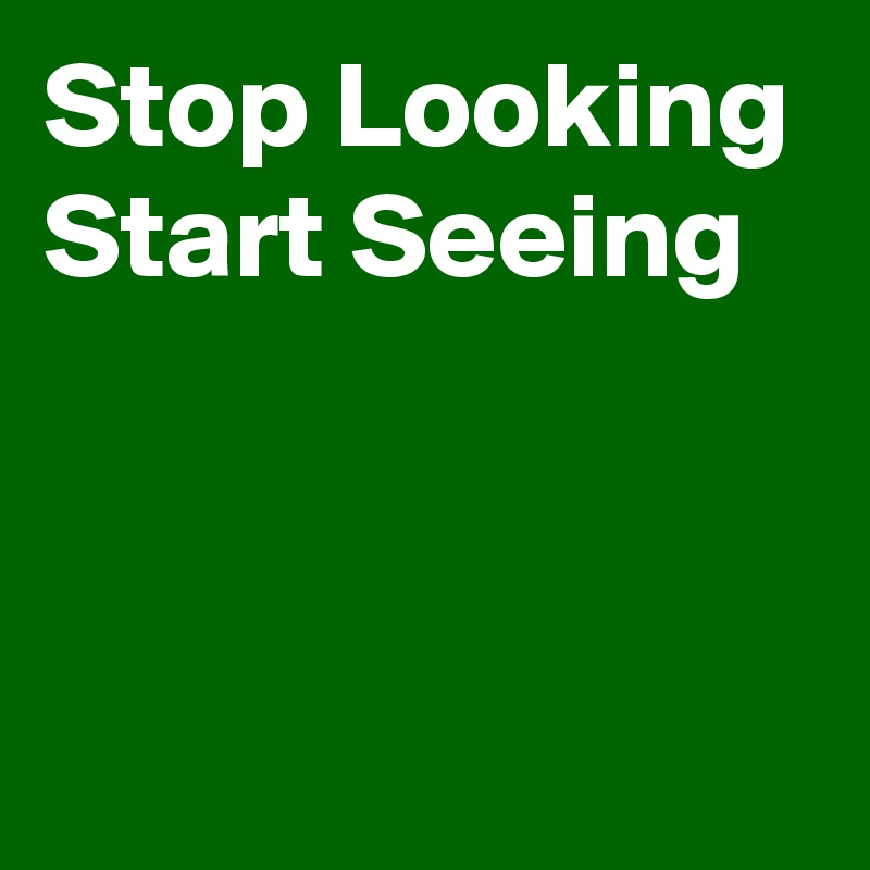 Stop Looking
Start Seeing 


