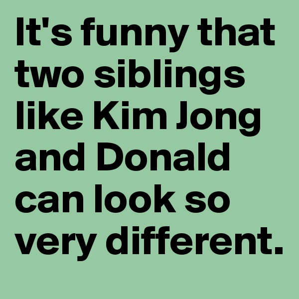 It's funny that two siblings like Kim Jong and Donald can look so very different.