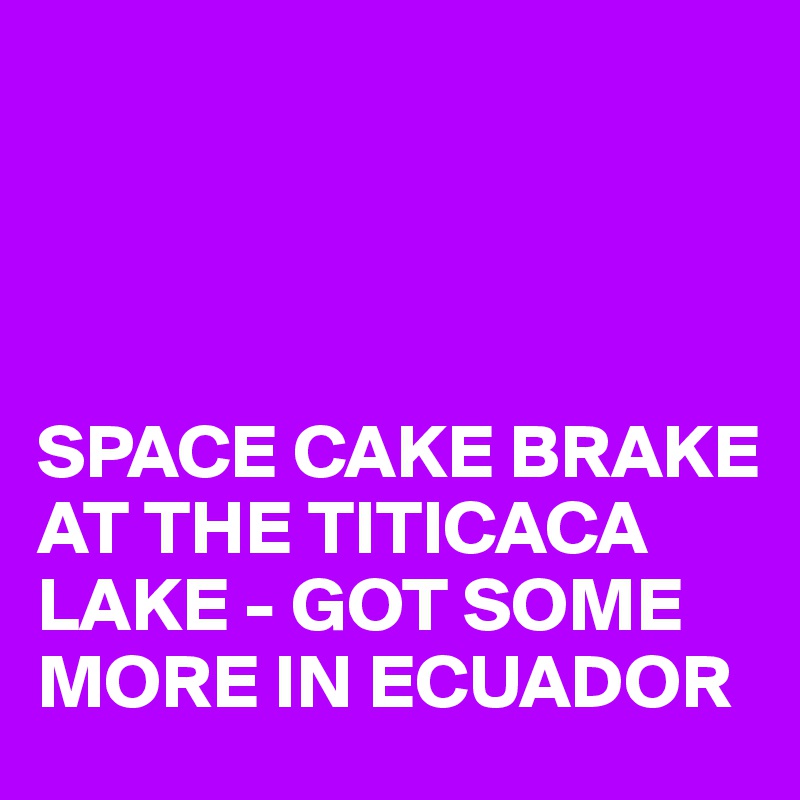 




SPACE CAKE BRAKE AT THE TITICACA LAKE - GOT SOME MORE IN ECUADOR
