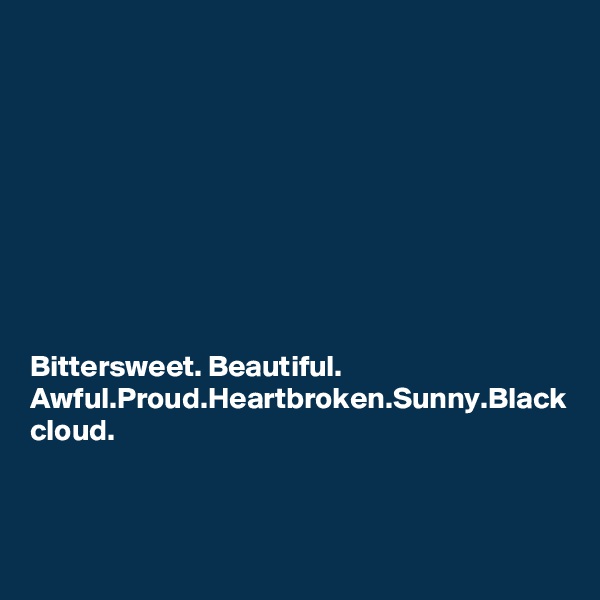 









Bittersweet. Beautiful. Awful.Proud.Heartbroken.Sunny.Black cloud.
