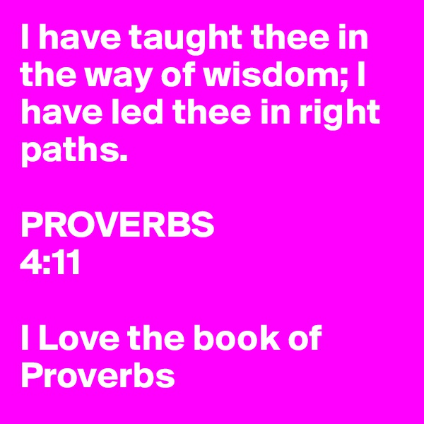 I have taught thee in the way of wisdom; I have led thee in right paths.

PROVERBS
4:11

I Love the book of Proverbs 