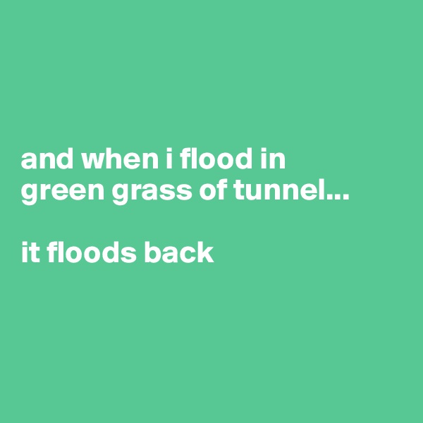 



and when i flood in
green grass of tunnel...

it floods back



