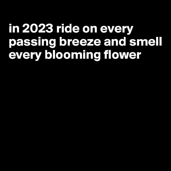 
in 2023 ride on every passing breeze and smell every blooming flower 






