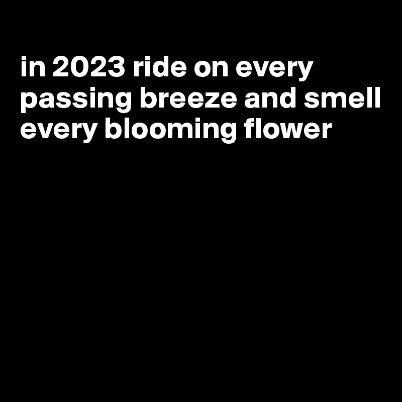 
in 2023 ride on every passing breeze and smell every blooming flower 






