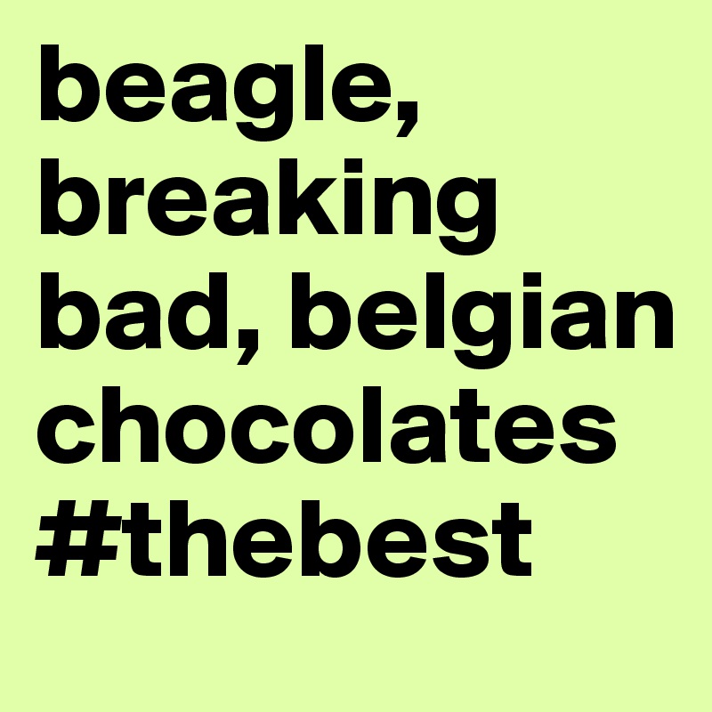 beagle, breaking bad, belgian chocolates #thebest