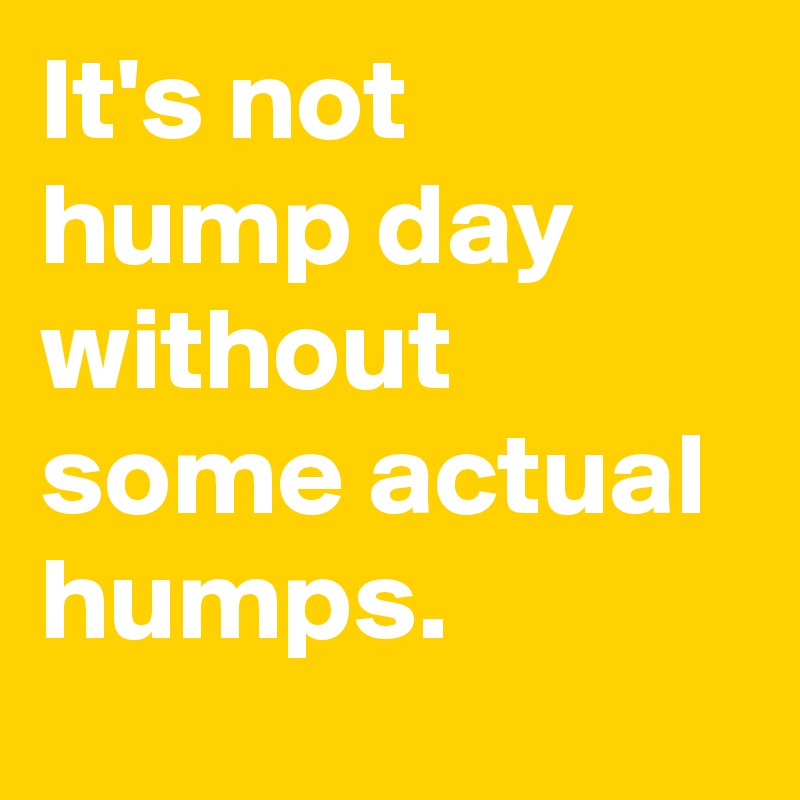 It's not hump day without some actual humps.