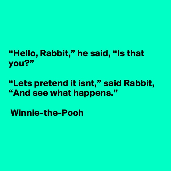 



“Hello, Rabbit,” he said, “Is that you?”

“Lets pretend it isnt,” said Rabbit, “And see what happens.”

 Winnie-the-Pooh



