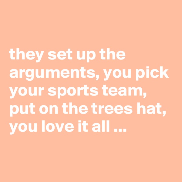 

they set up the arguments, you pick your sports team, put on the trees hat, you love it all ...
