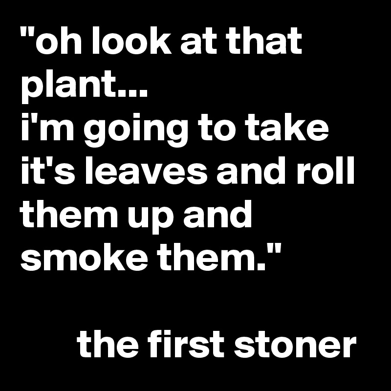 "oh look at that plant...
i'm going to take it's leaves and roll them up and smoke them."

       the first stoner
