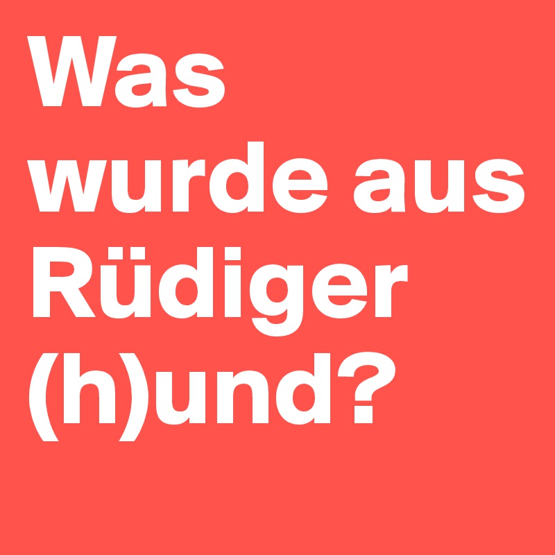 Was wurde aus Rüdiger (h)und?