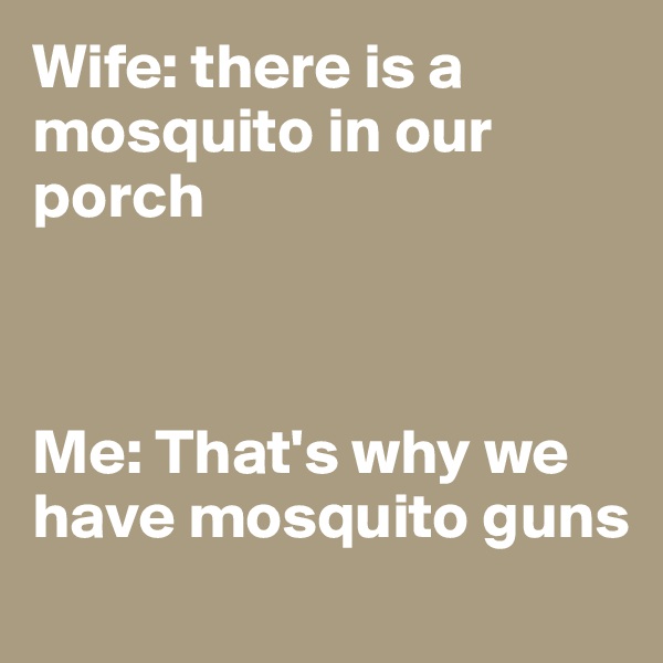 Wife: there is a mosquito in our porch



Me: That's why we have mosquito guns
