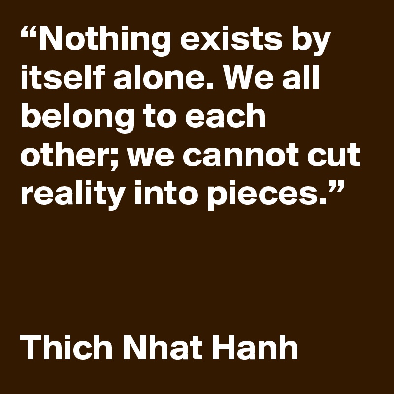 “Nothing exists by itself alone. We all belong to each other; we cannot cut reality into pieces.”



Thich Nhat Hanh