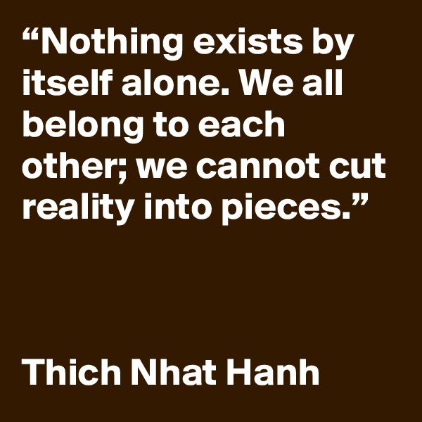 “Nothing exists by itself alone. We all belong to each other; we cannot cut reality into pieces.”



Thich Nhat Hanh