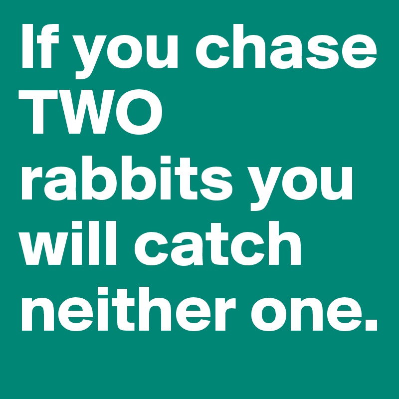 If you chase TWO rabbits you will catch neither one.