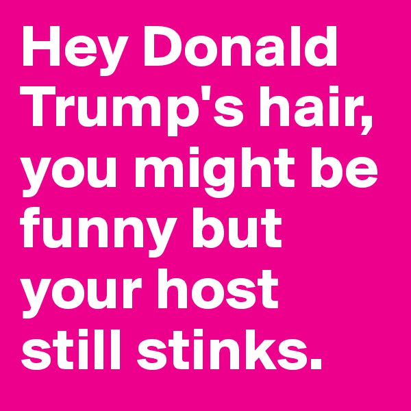 Hey Donald Trump's hair, you might be funny but your host still stinks.