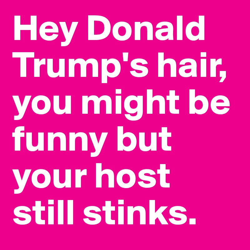 Hey Donald Trump's hair, you might be funny but your host still stinks.