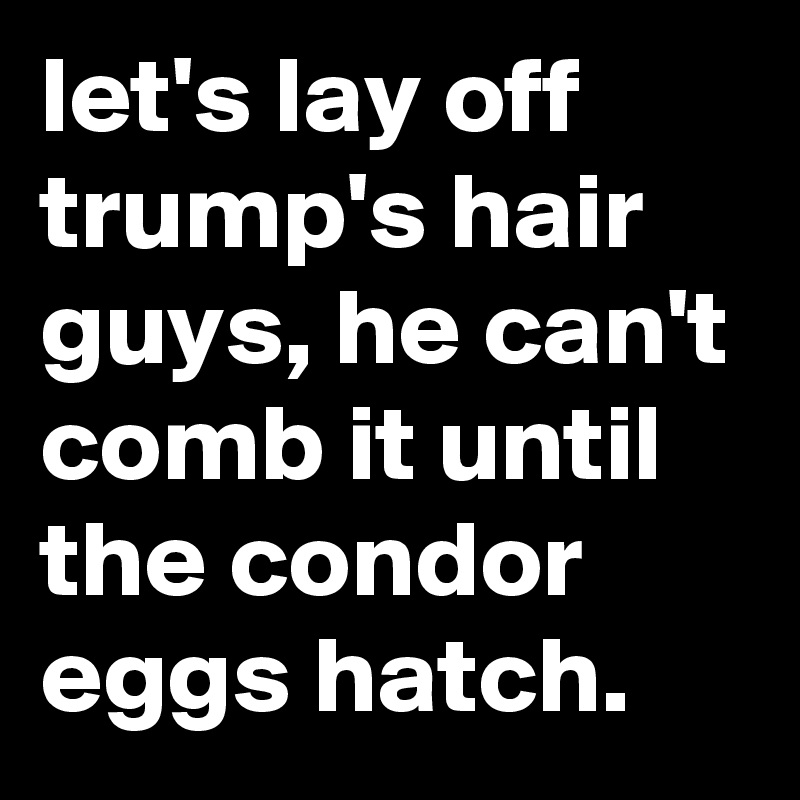 let's lay off trump's hair guys, he can't comb it until the condor eggs hatch.