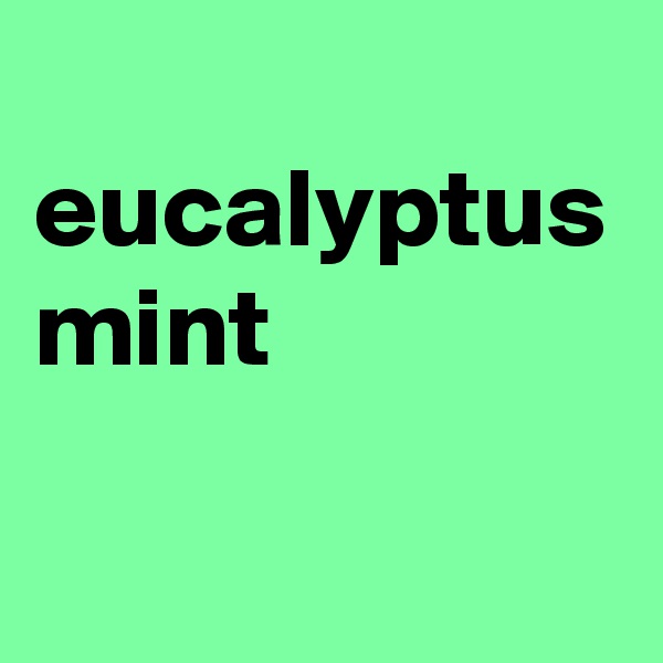  eucalyptus mint