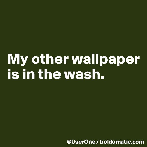 


My other wallpaper is in the wash.


