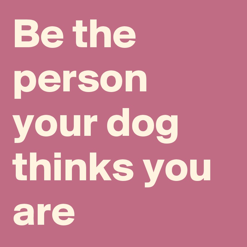 Be the person your dog thinks you are
