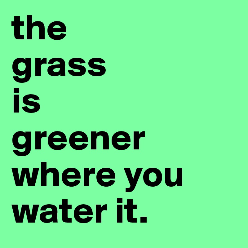 the
grass
is
greener
where you
water it.