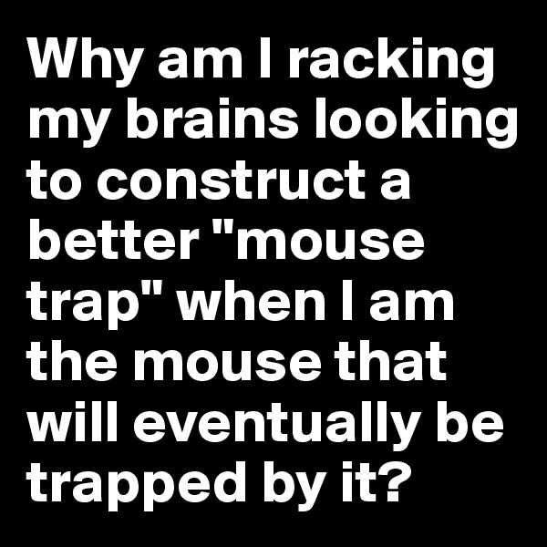Why am I racking my brains looking to construct a better "mouse trap" when I am the mouse that will eventually be trapped by it?
