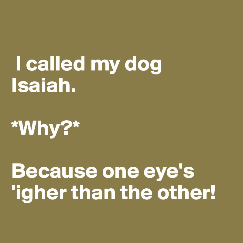 

 I called my dog Isaiah.

*Why?*

Because one eye's 'igher than the other!
