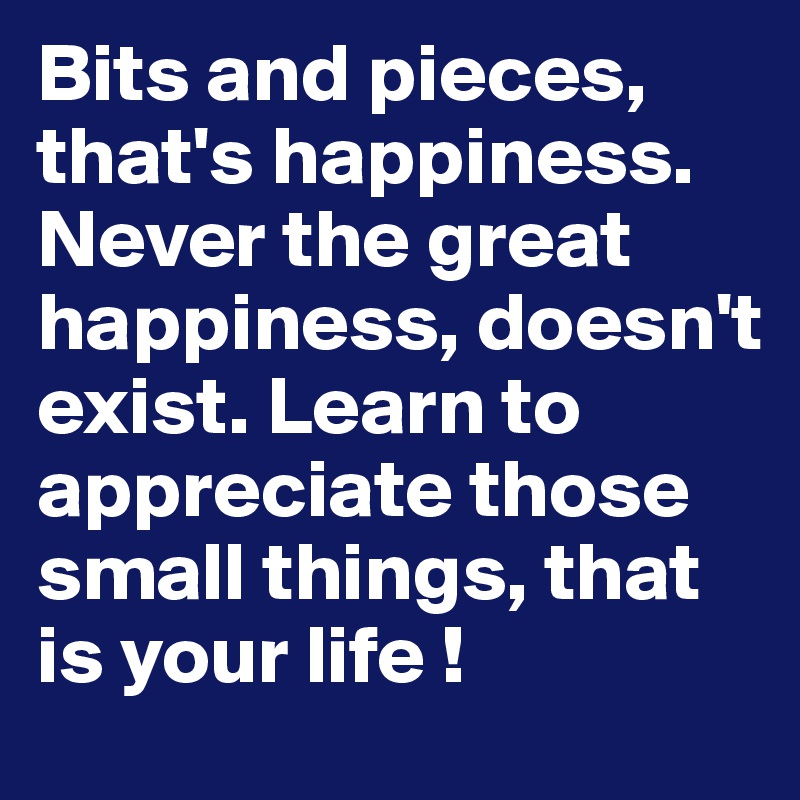 Bits and pieces, that's happiness. Never the great happiness, doesn't exist. Learn to appreciate those small things, that is your life !