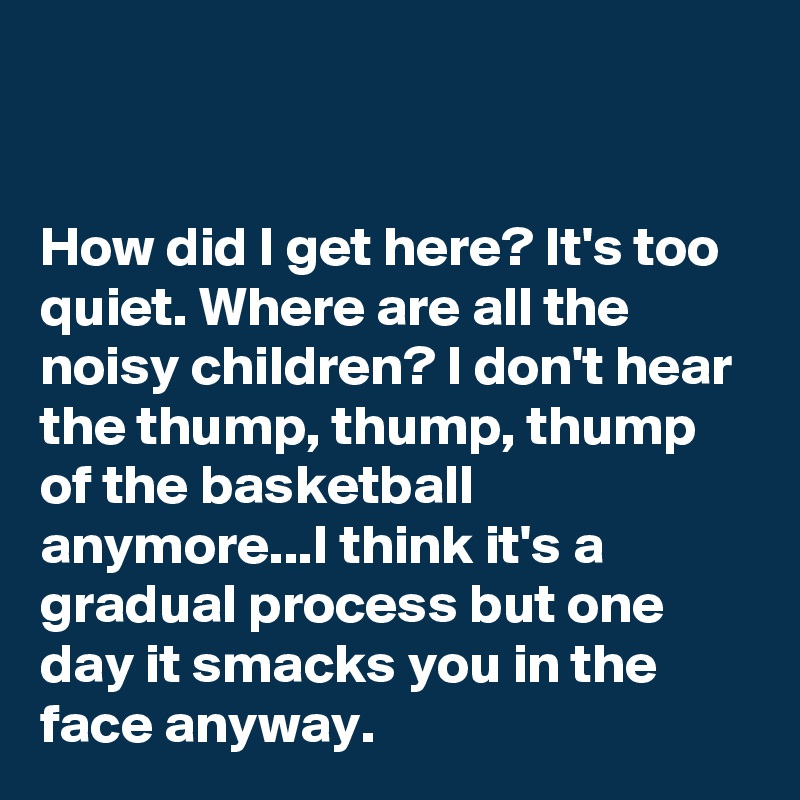 


How did I get here? It's too quiet. Where are all the noisy children? I don't hear the thump, thump, thump of the basketball anymore...I think it's a gradual process but one day it smacks you in the face anyway. 