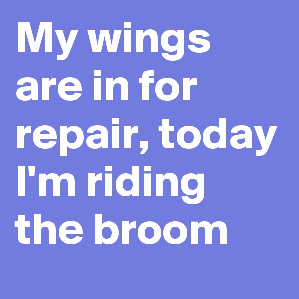 My wings are in for repair, today I'm riding the broom