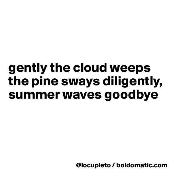 



gently the cloud weeps
the pine sways diligently,  
summer waves goodbye



