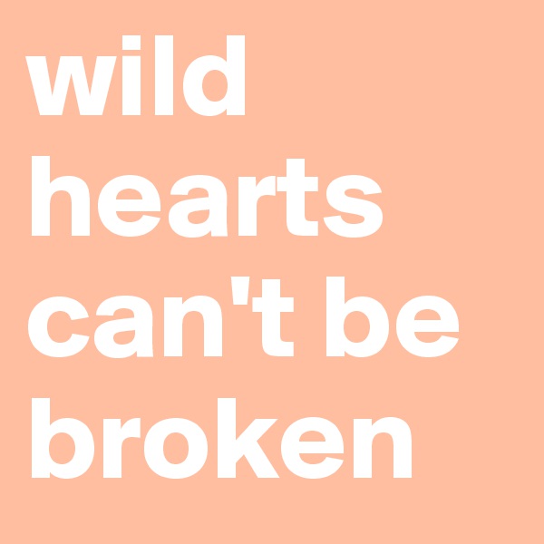 wild hearts can't be broken