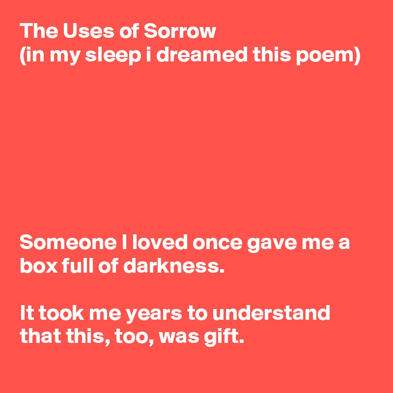 The Uses of Sorrow
(in my sleep i dreamed this poem) 







Someone I loved once gave me a box full of darkness. 

It took me years to understand that this, too, was gift.