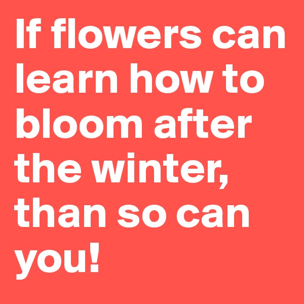 If flowers can learn how to bloom after the winter, than so can you!