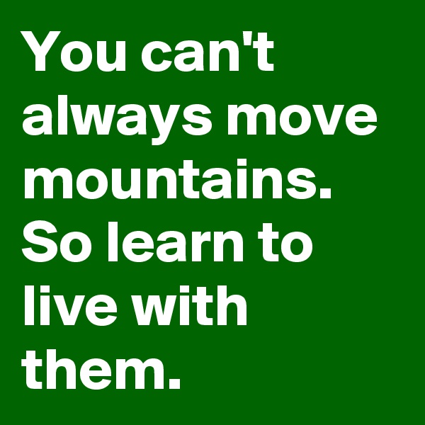 You can't always move mountains. So learn to live with them. 