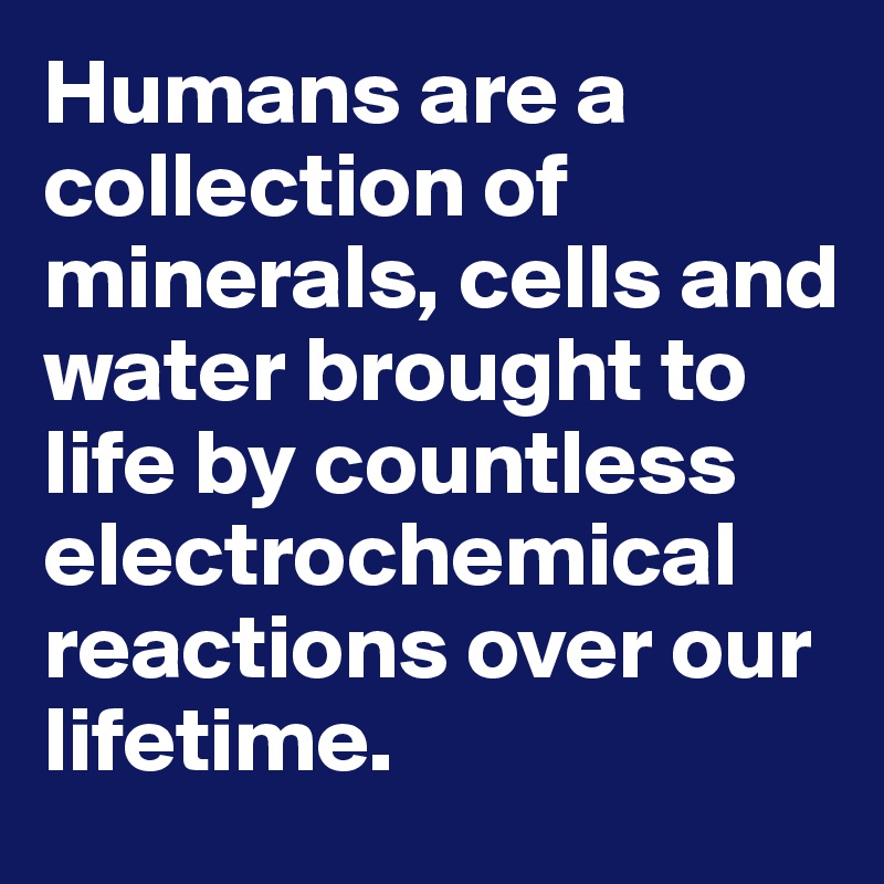 Humans are a collection of minerals, cells and water brought to life by countless electrochemical reactions over our lifetime. 