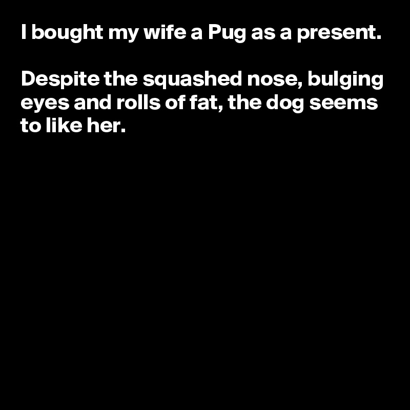 I bought my wife a Pug as a present.

Despite the squashed nose, bulging eyes and rolls of fat, the dog seems to like her.









