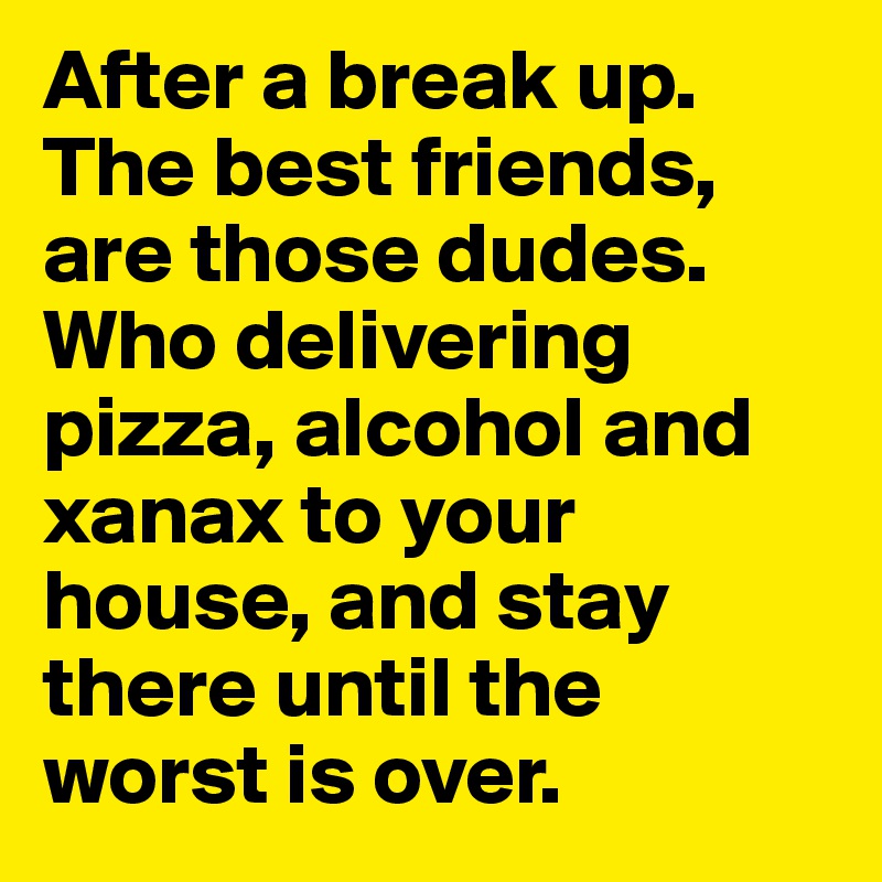 After a break up. The best friends, are those dudes. Who delivering pizza, alcohol and xanax to your house, and stay there until the worst is over.