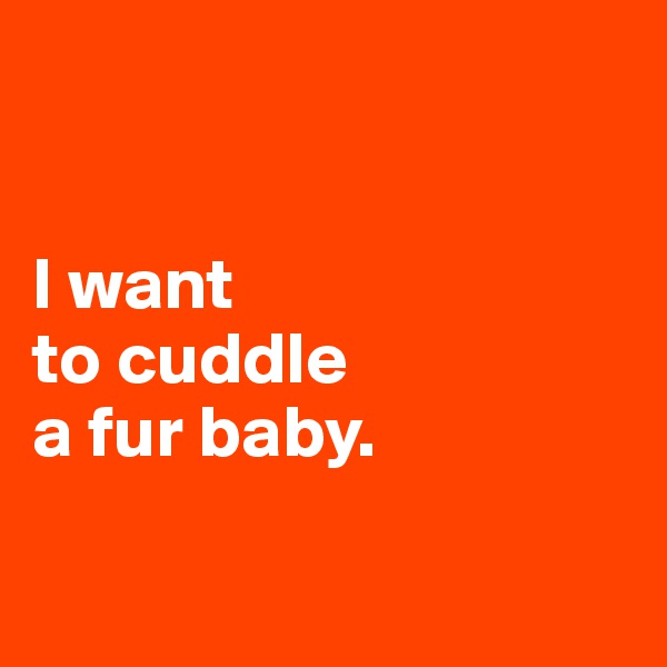 


I want 
to cuddle 
a fur baby. 

