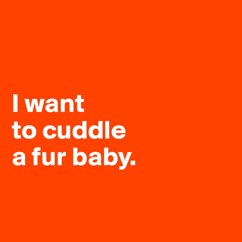


I want 
to cuddle 
a fur baby. 

