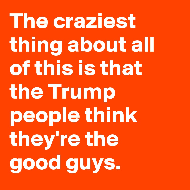 The craziest thing about all of this is that the Trump people think they're the good guys.