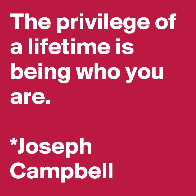 The privilege of a lifetime is being who you are.

*Joseph Campbell