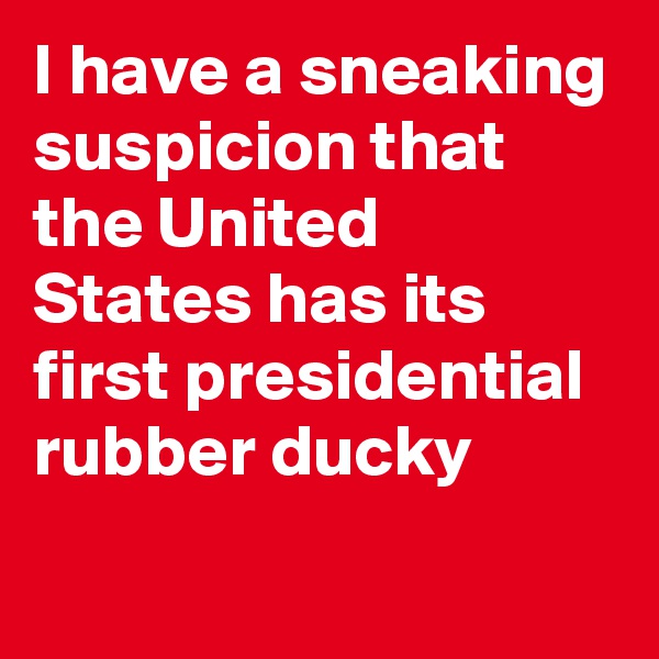 I have a sneaking suspicion that the United States has its first presidential rubber ducky