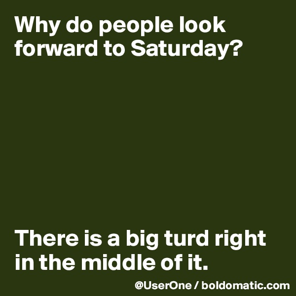 Why do people look forward to Saturday?







There is a big turd right in the middle of it.