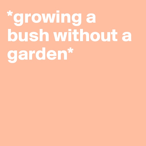 *growing a bush without a garden*



