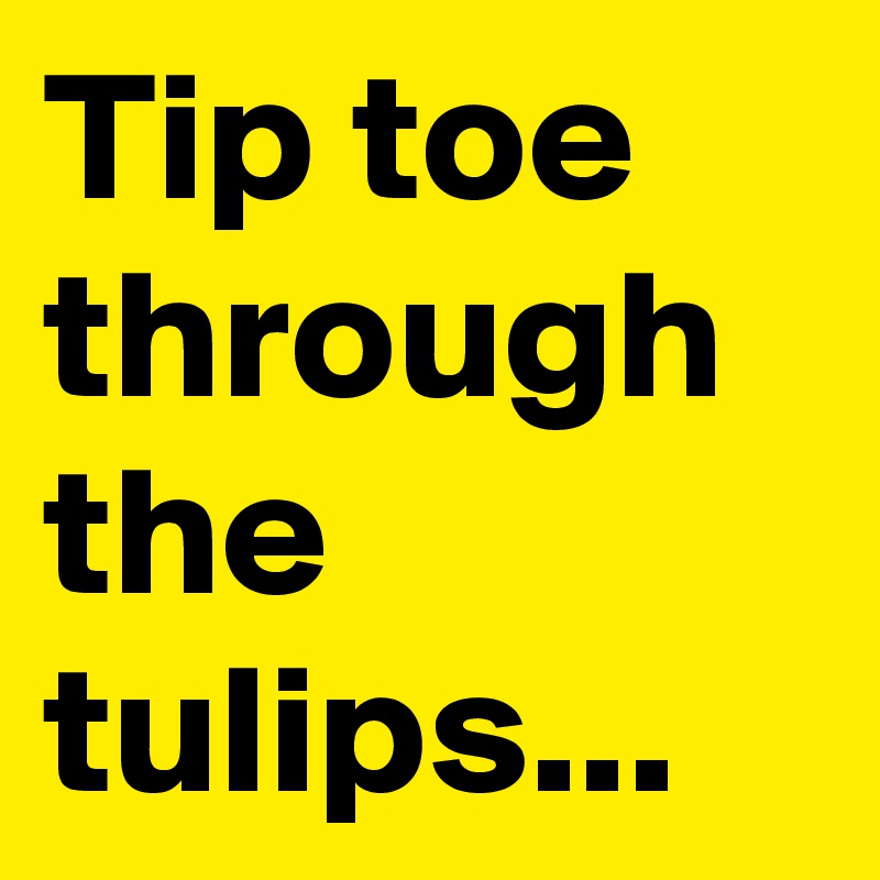 Tip toe through the tulips...